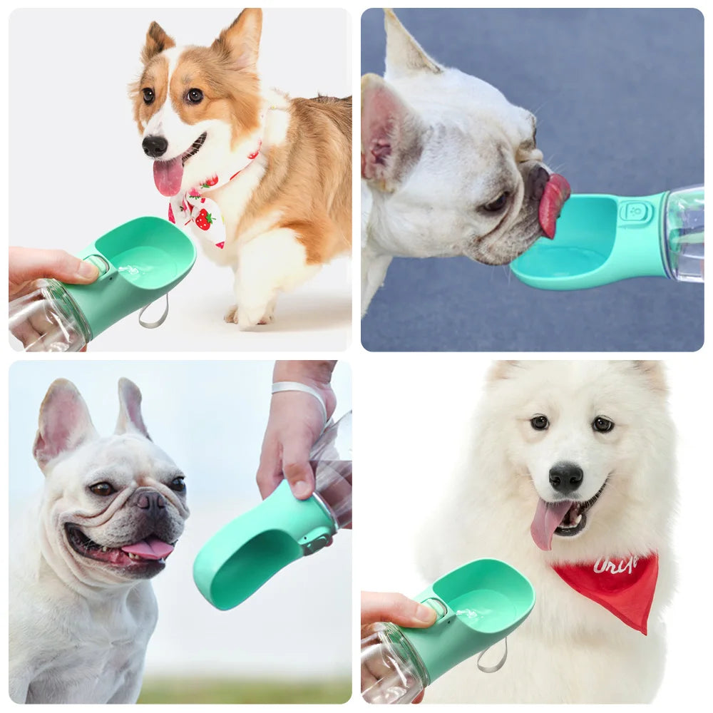 Portable Pet Water Bottle – Ideal for Walks
